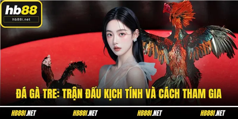 đá gà tre